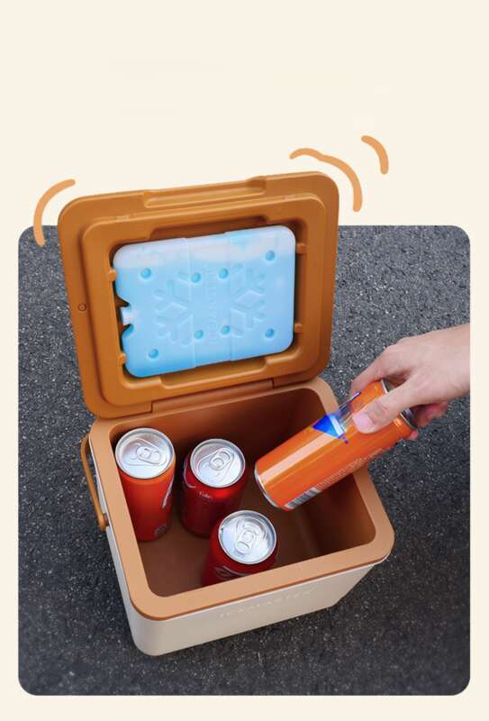 5L Small Insulated Refrigerated Box, Stall, Car Mounted Outdoor Picnic Camping, Cold Preservation And Freshness Ice Box_autovado.com